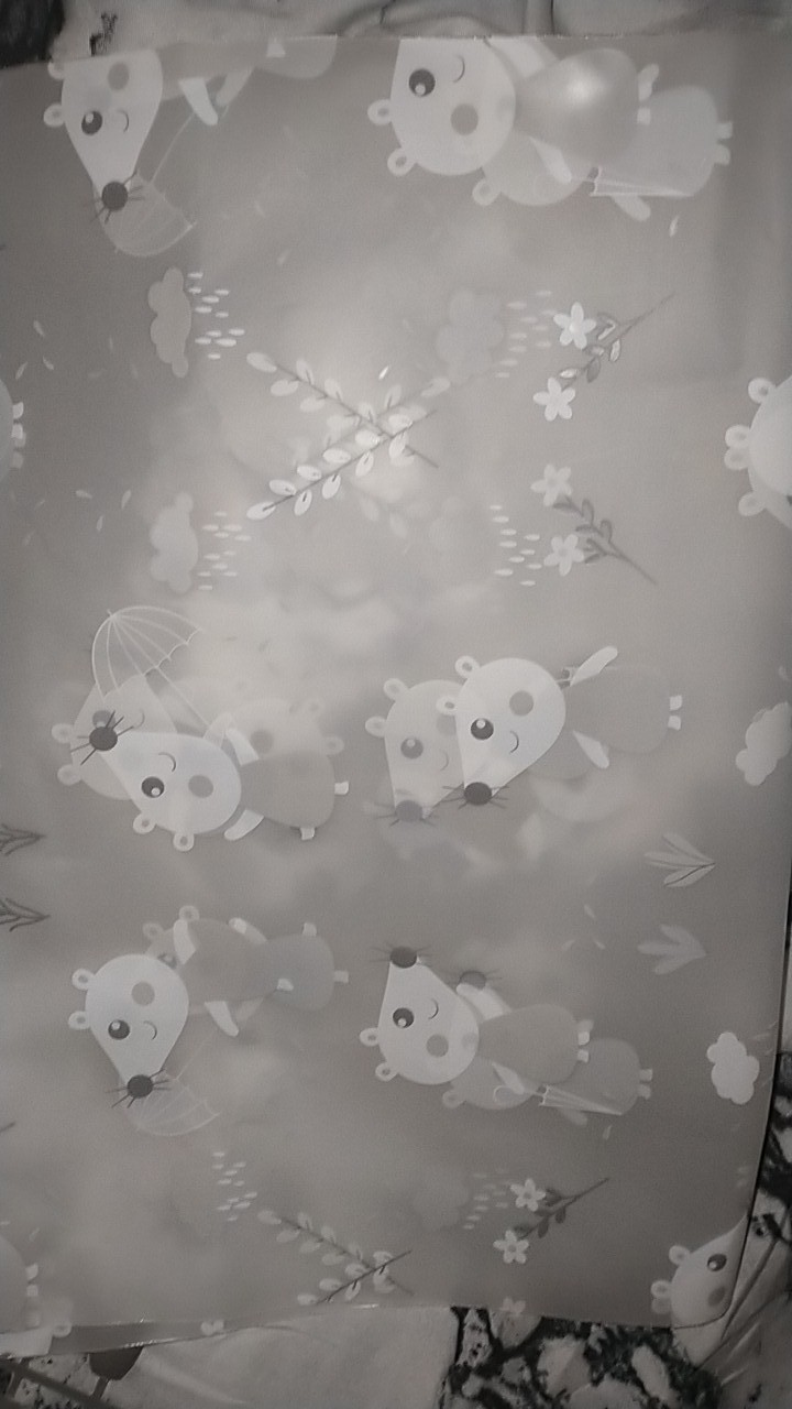 Zipper Lock Transparan Mouse Terbaru - Pouch Travel - Kantong Serbaguna