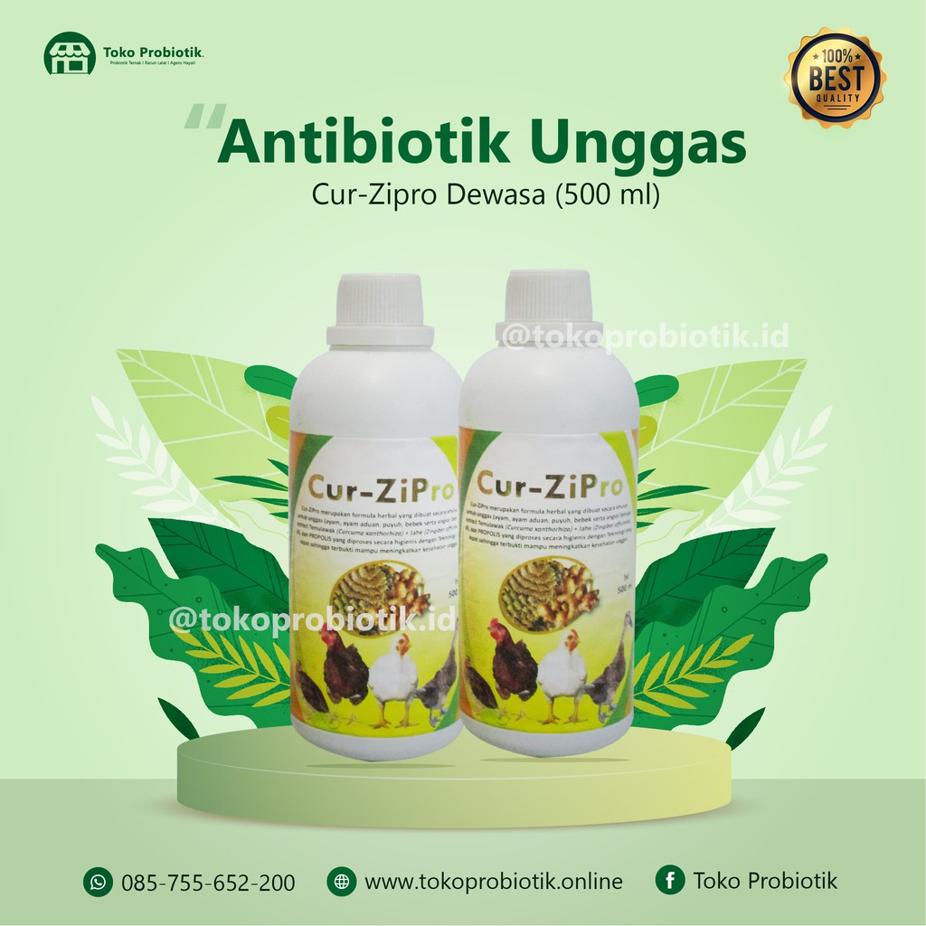 OBAT HERBAL UNGGAS UNTUK MENINGKATKAN KESEHATAN - CUR ZIPRO