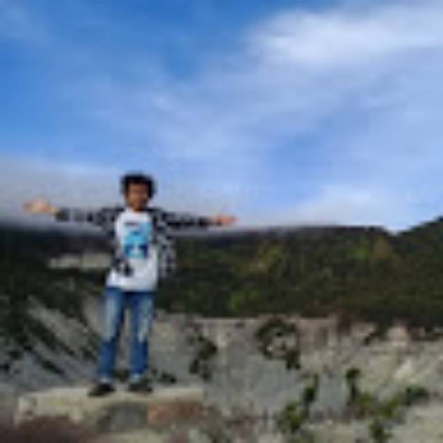 wahyusatya86