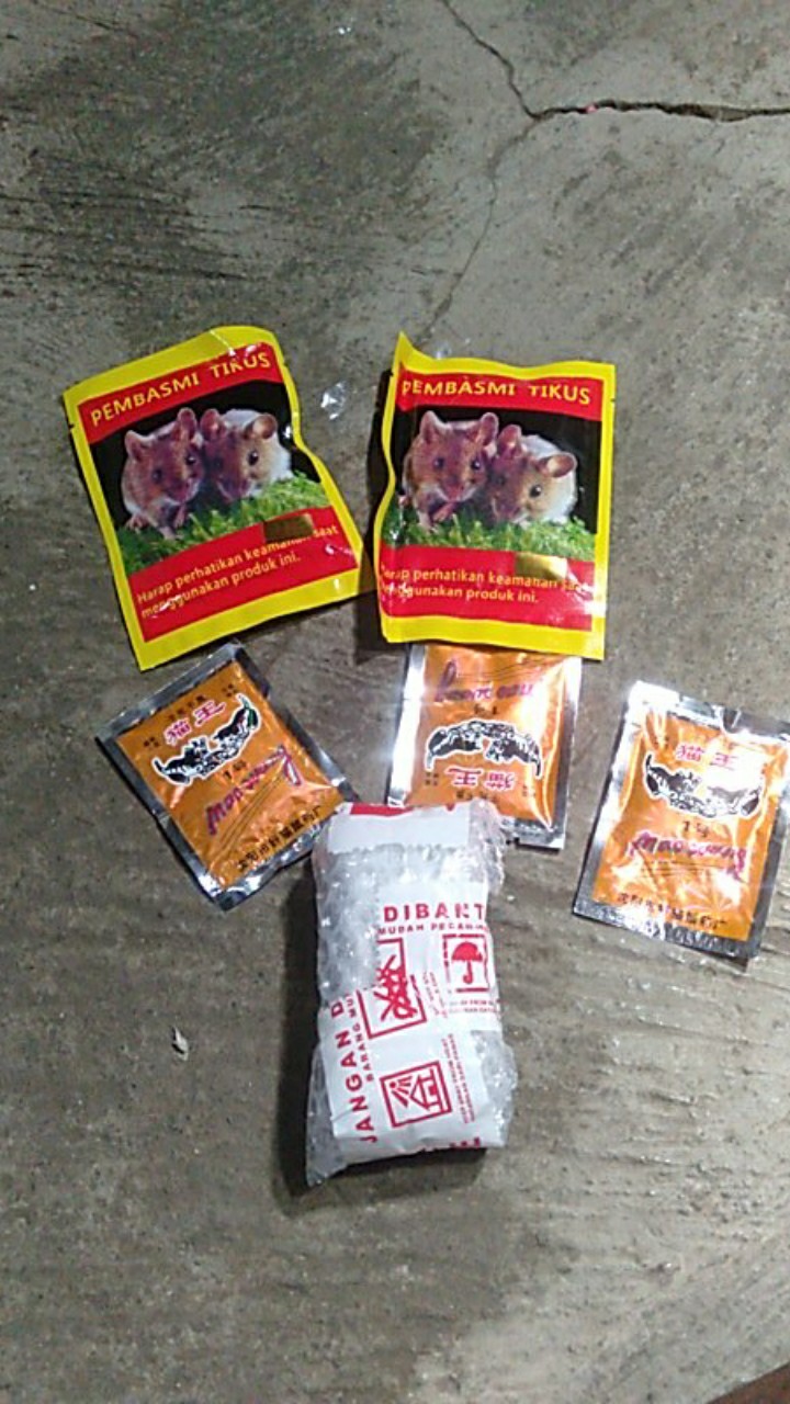 Maowang Orange Hologram Pembasmi Tikus