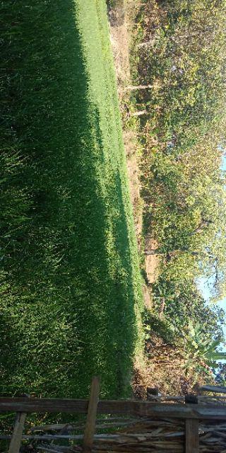 Rak Kosmetik Kitten Desktop Storage Kitten