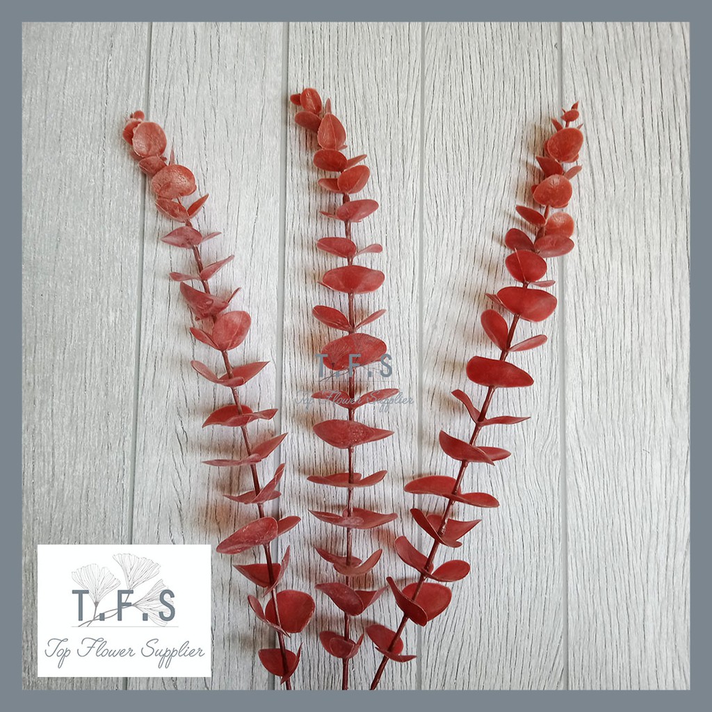 Artificial Flower Bunga Flocking Eucalyptus Stem Green Tanaman Palsu Bunga Plastik Decor Rumah-RED