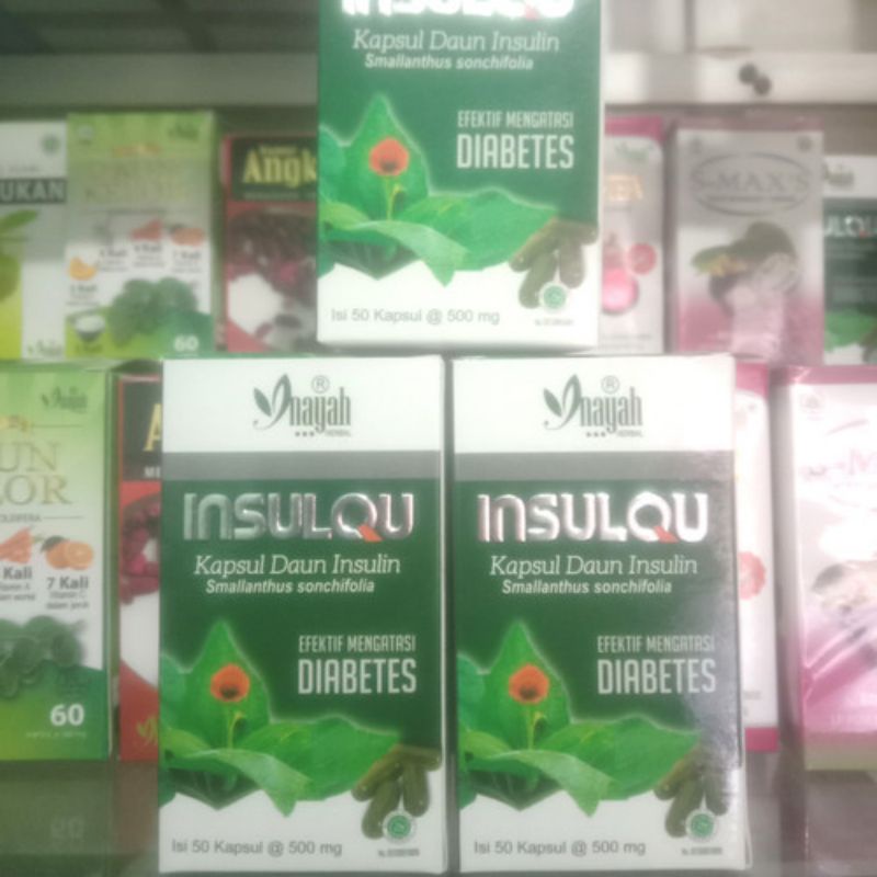 INSULIN KAPSUL ORIGINAL [INAYAH] - OBAT HERBAL DIABETES