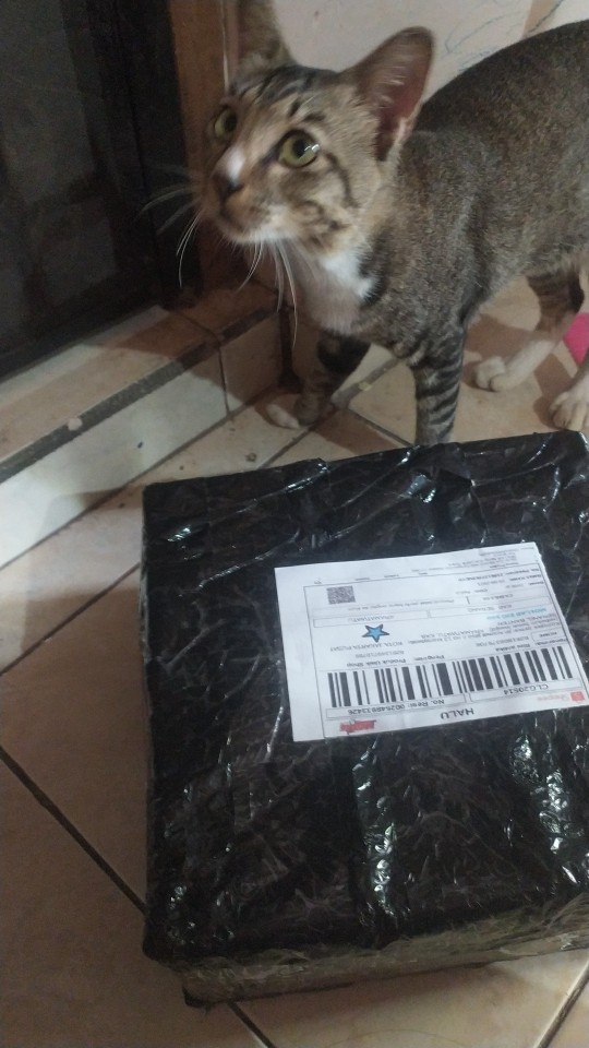 Spray Gun Elektrik Alat Semprot Cat Elektrik Mollar Spray Gun Listrik Tanpa Kompresor