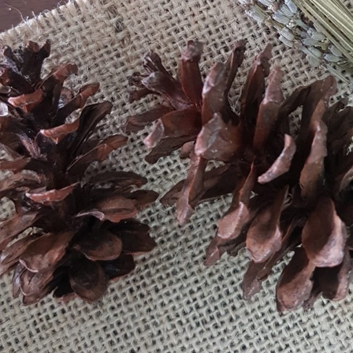 Mainan Gigitan Kelinci Hamster Bisa Untuk Dekorasi Kandang dan Lainnya Murah dan Aestetik FEFARM