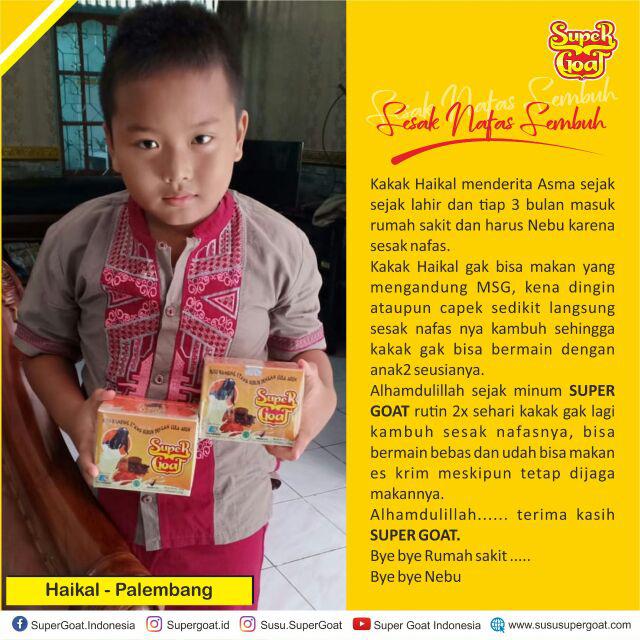 Risna Batik Jumbo Hrb089 C Kemeja Batik Pria Pendek Katun Primis Premium Besar Xxxl 3l 4l 5l