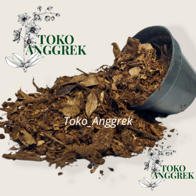 

Original Andam Hutan Murni