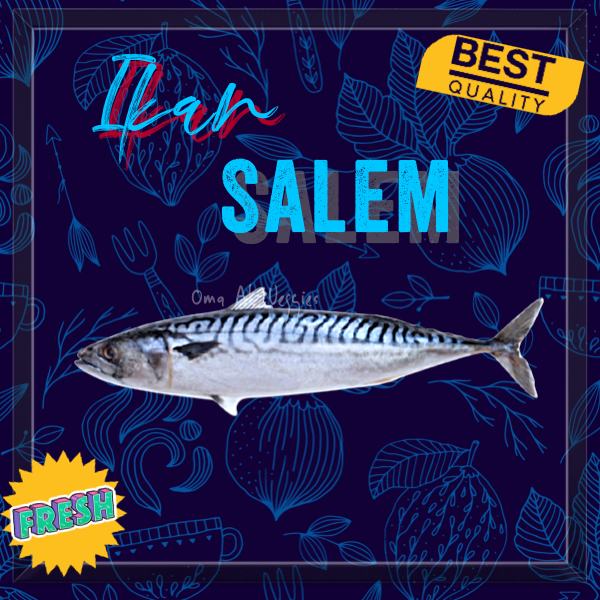 

IKAN SALEM SEGAR PER 3 EKOR ± 500 Gr