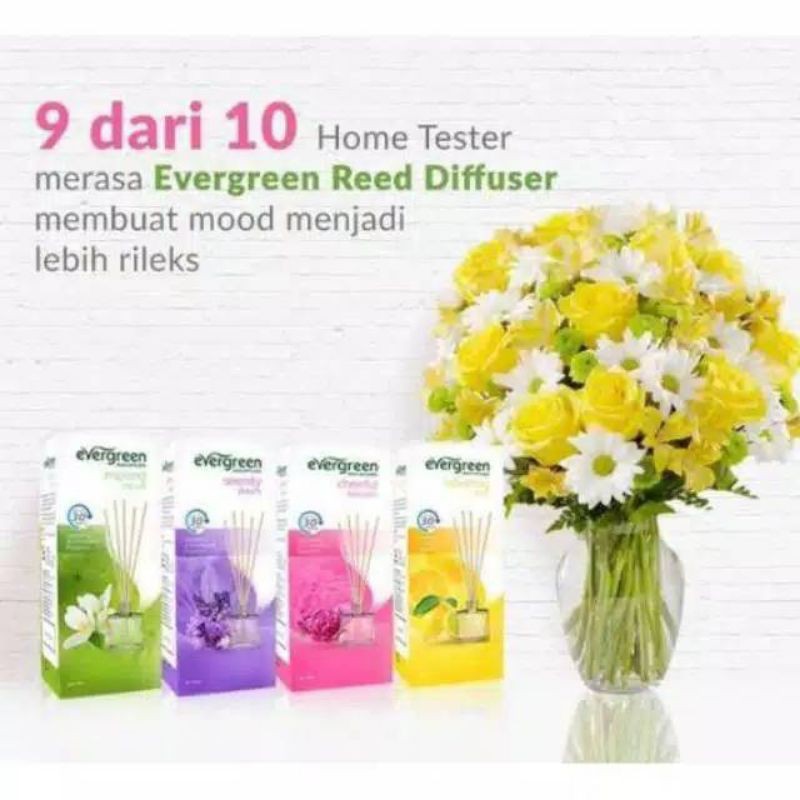 Evergreen Reed diffuser SET BOTTLE (Pengharum ruangan)