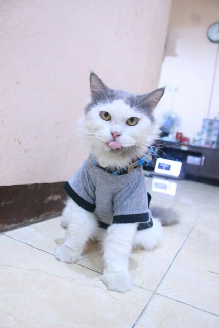 Kaos hoodie variasi kotak-kotak biru lucu untuk kucing dan anjing size S M L XL