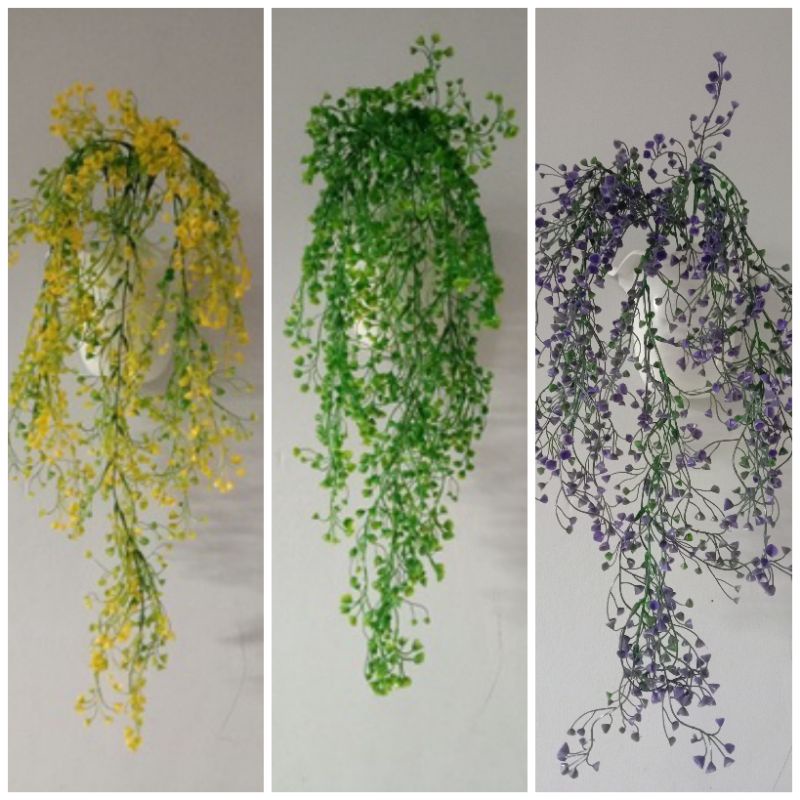 Bunga juntai + pot dinding