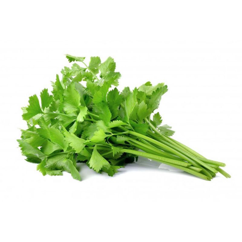 

Daun seledri 100gr