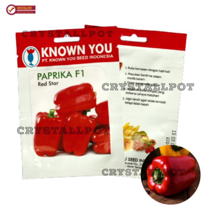 benih bibit paprika f1 merah red star known you seed - KYS RED STAR