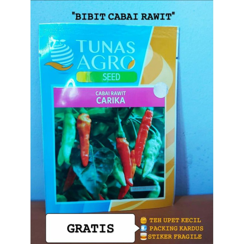 BENIH Cabe Rawit Putih Unggul CARIKA