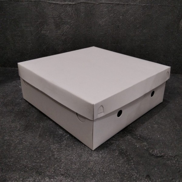 Dus 18 x 18 Mickey / Miki 400 gram per 50 pcs Kotak Nasi Katering