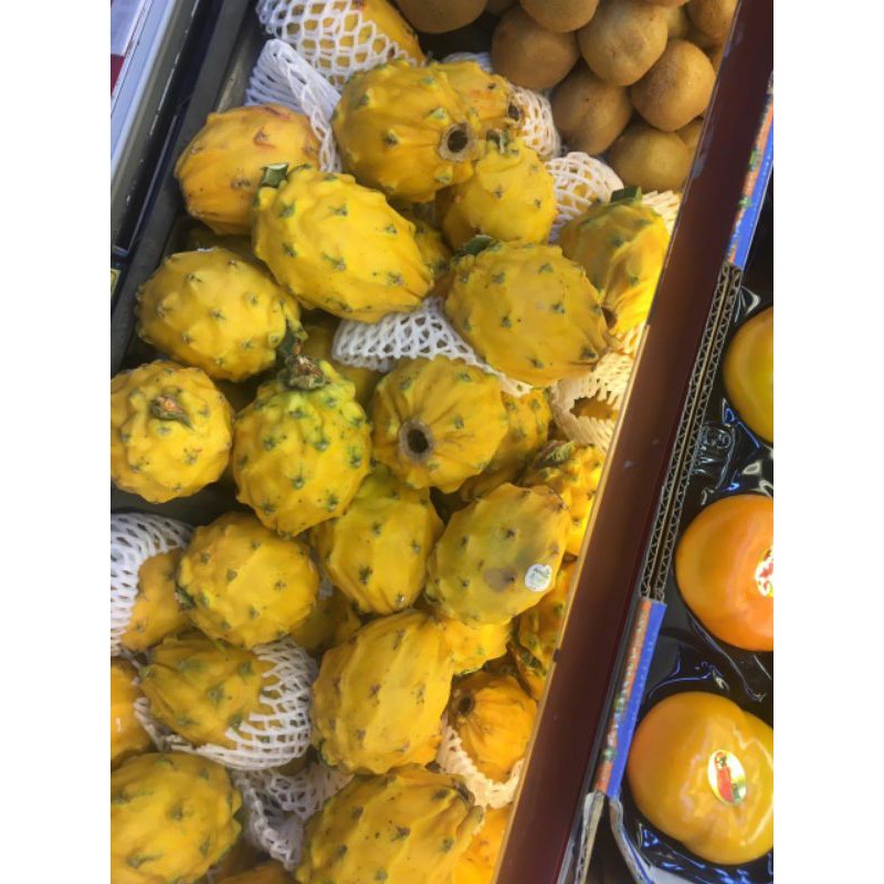 

Buah naga Kuning / Dragon Fruit yellow import china 1 kg