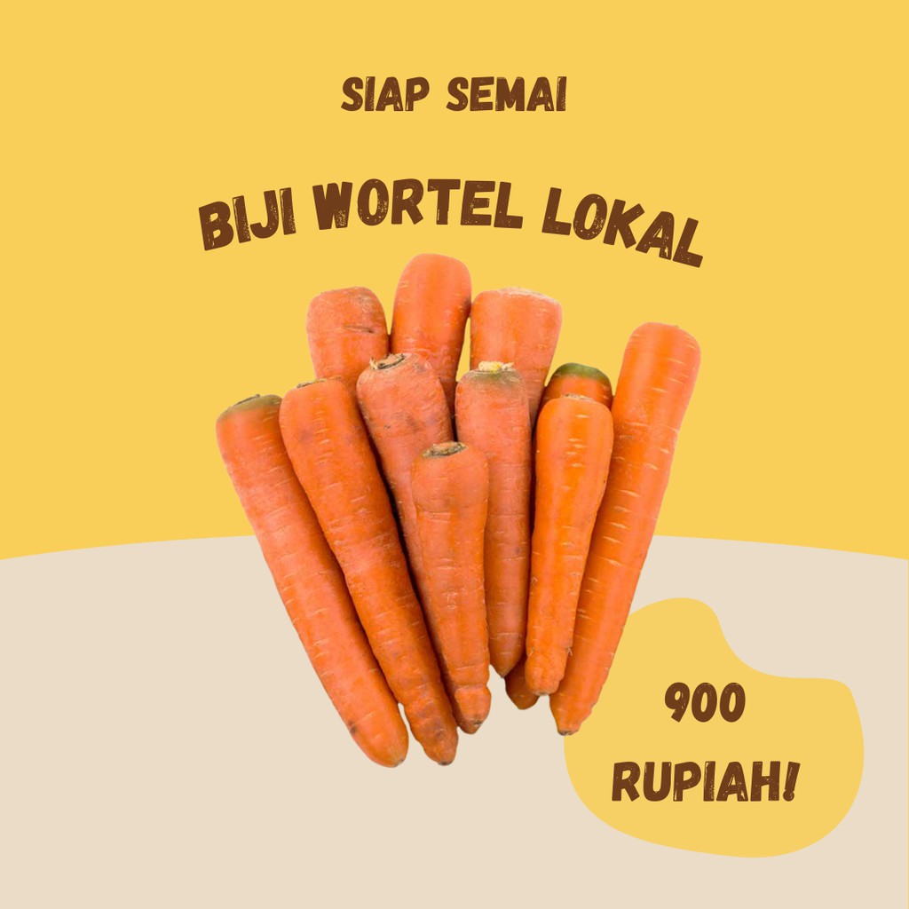 Jual Benih Wortel Lokal Biji Bibit Tanaman Sayuran Wortel Berkualitas