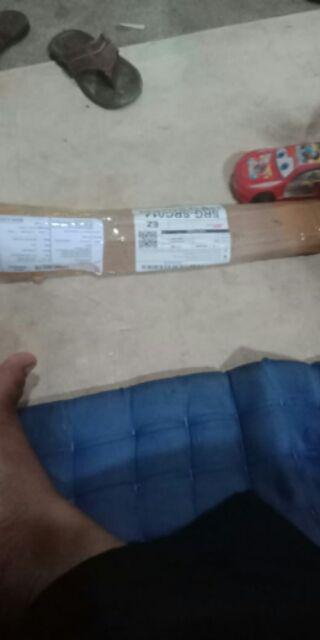 Bibit Kapulaga Hibrida Super Jumbo Kwalitas 1