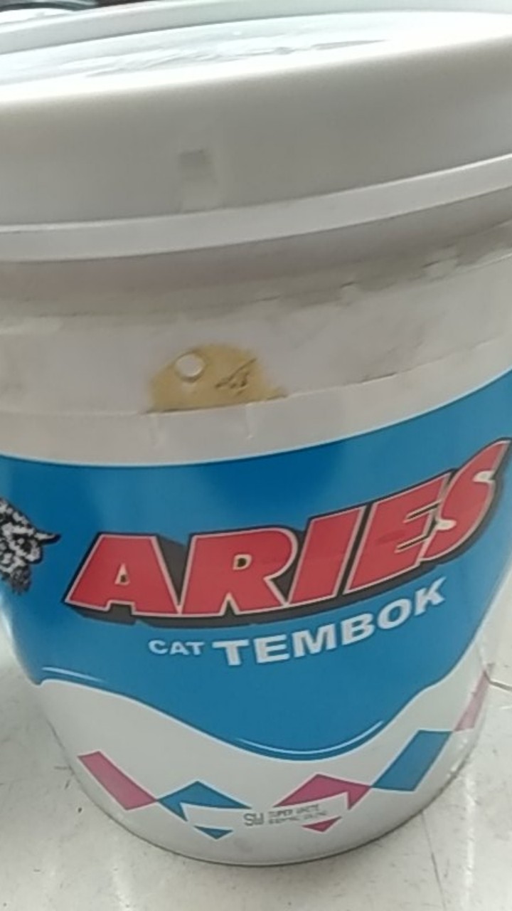 Cat Tembok Aries Putih (20 Kg)