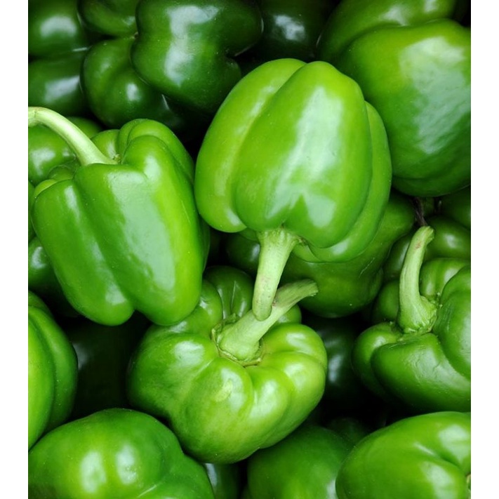 

Paprika hijau 500 gram