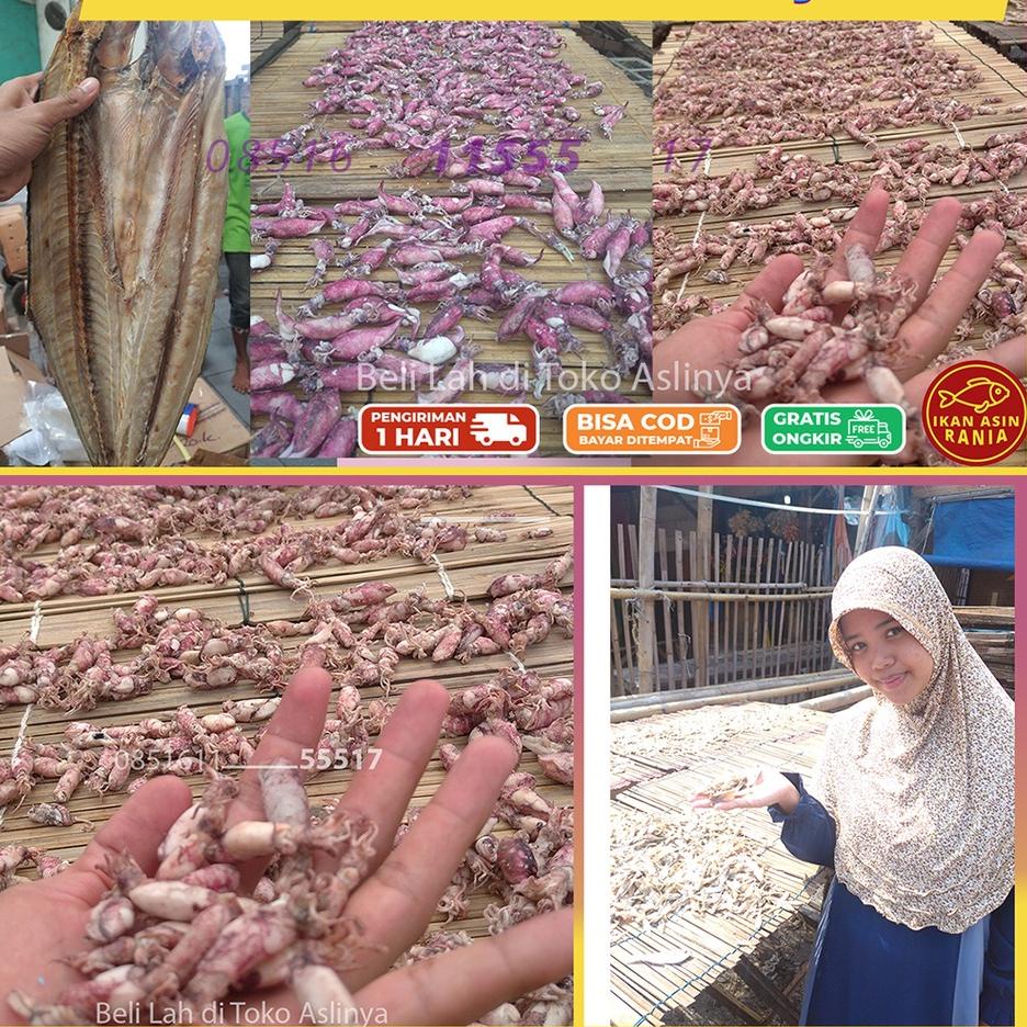 

Trx7d7Cr--PROMO Ikan Asin Belanak Belah 1Kg & 500Gr / Ikan Asin Belanak