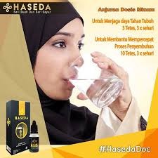 HASEDA 15ML OBAT TETES HERBAL SARI BUAH DAN SAYUR