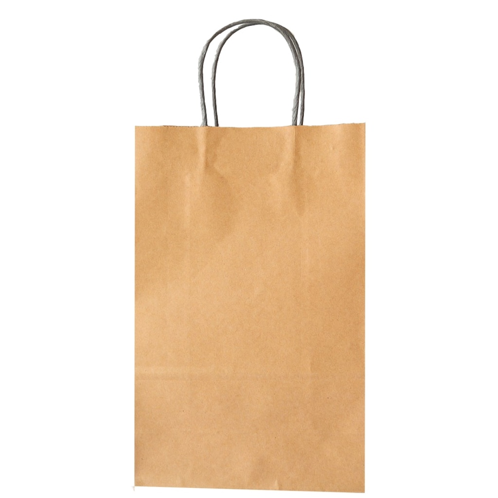 Paper Bag Polos Tas Belanja Kantong Belanja (SBG1-20X10X30)