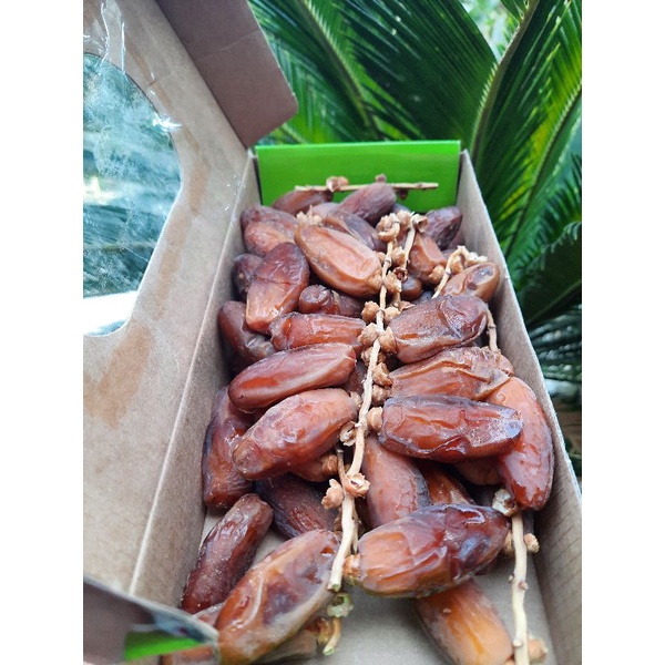 

Kurma Tunis Tangkai