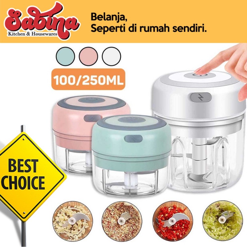 Blender Bumbu Mini Elektrik Portable Food Chopper Garlic Masher USB