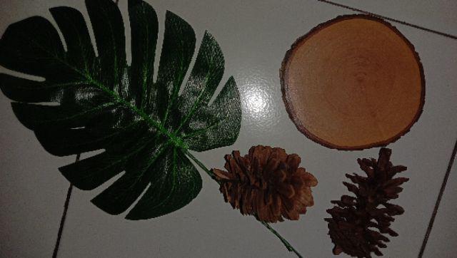 Pinecone / Pinus Kecil
