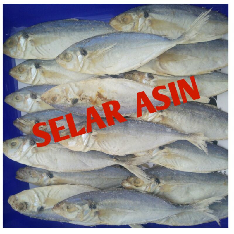 

IKAN ASIN SELAR