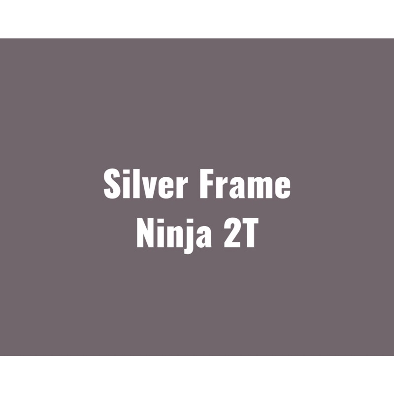 Cat silver frame ninja 2T