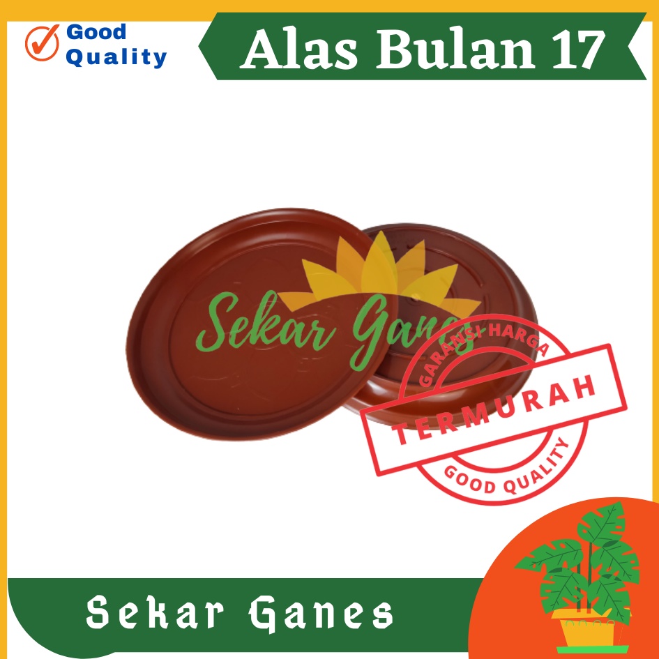 Sekarganes Tatakan Polos Alas Bulan 17 Merah BataTerracota Terracotta Merah Coklat By Garden Of Love Untuk Pot Tawon 18 21 Putih Pot Pirus Tawon