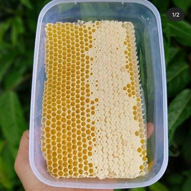 

Madu sarang murni(asli)