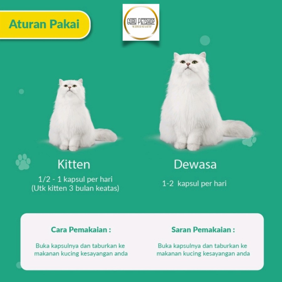 Easy Fat Kucing Vitamin Penggemuk Kucing Supplement Nafsu Makan Kucing