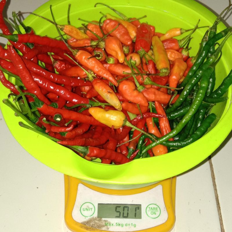 

CABE CAMPUR 3 MACAM 500GRAM