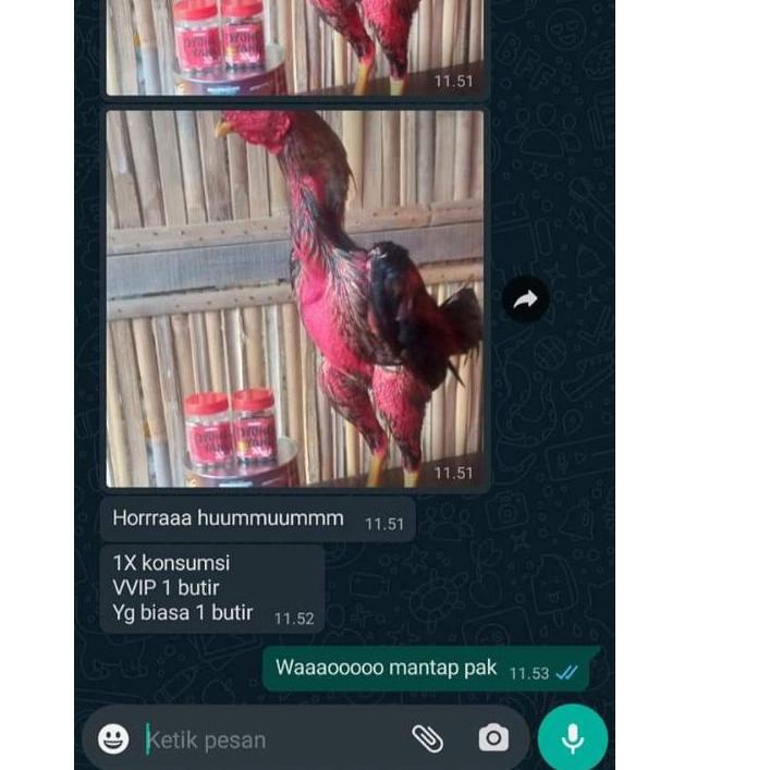 ✔️New Arival Jamu Ayam Aduan, Doping Ayam Aduan, Jamu Pyongyang Hitam Vvip 15 Butir #Shopeehaul