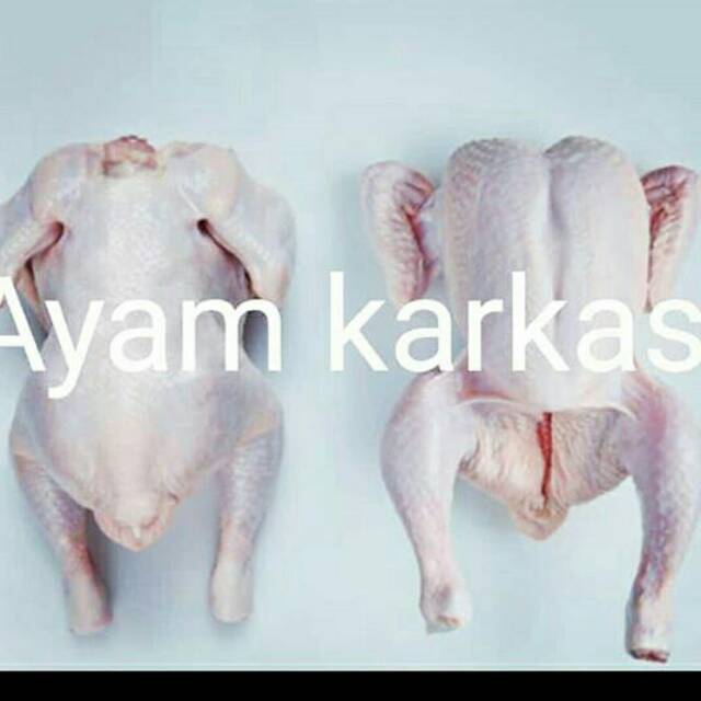 

Ayam boiler karkas utuh Uk.0.7-0.8kg