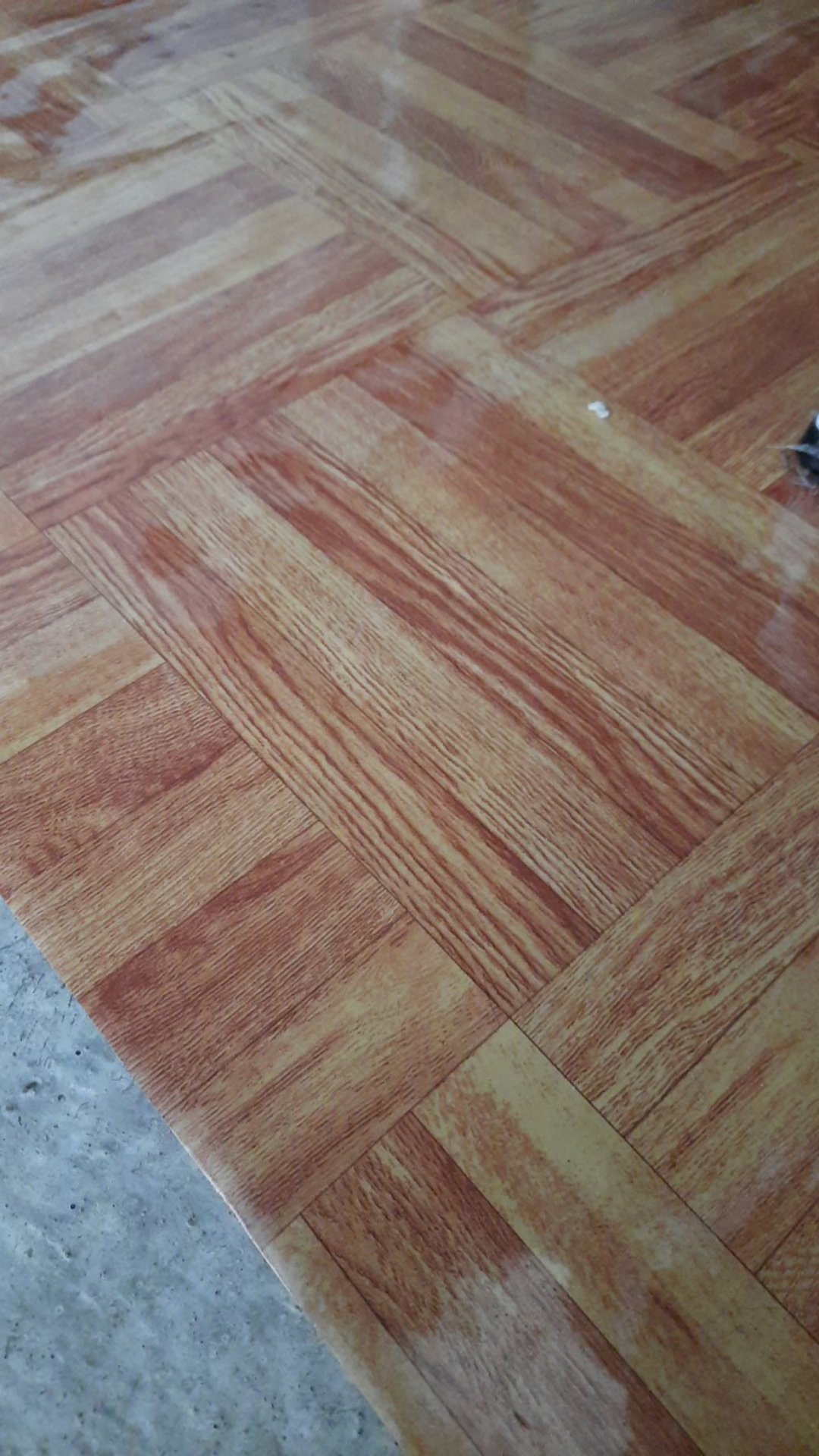 Plastik Lebar 2 Meter - Harga Unt 50 Cm