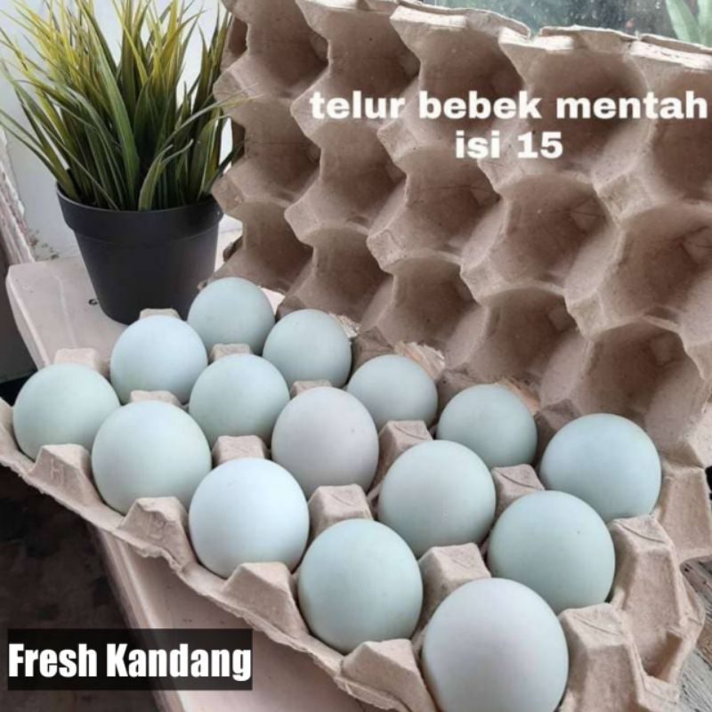 

TELUR BEBEK MENTAH FRESH || DFI