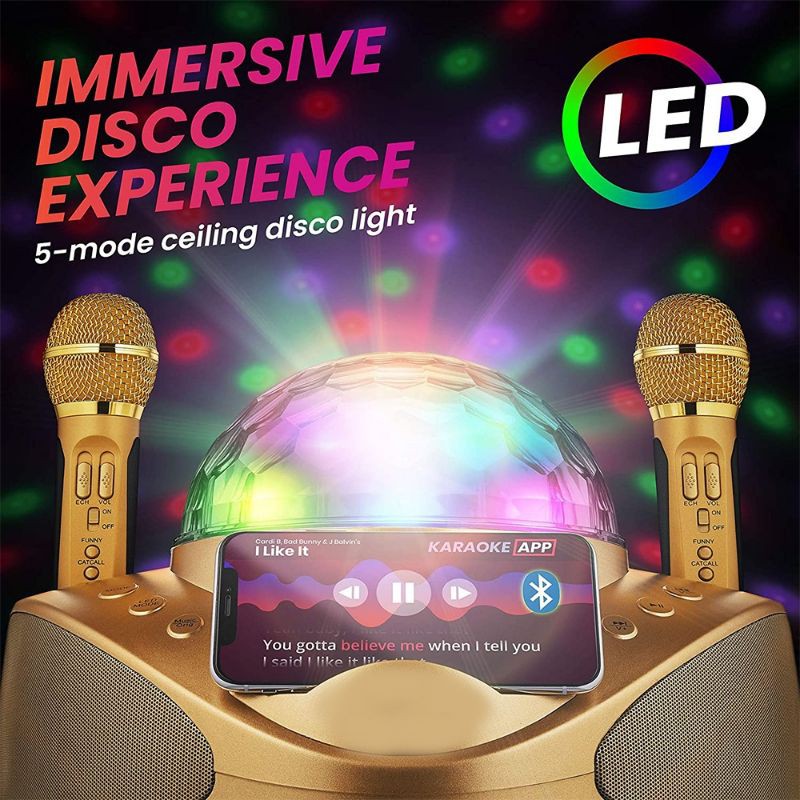 Speaker Bluetooth Portable SDRD SD308 Mic Wireless Karaoke LED SD-308 Lampu Disco + 2 Microphone