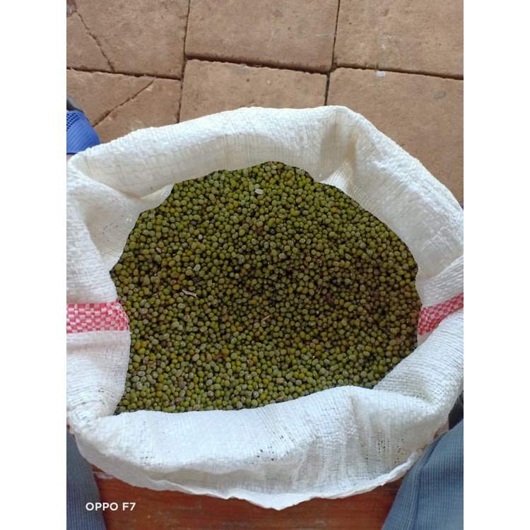 

Kacang Hijau Lokal 1kg