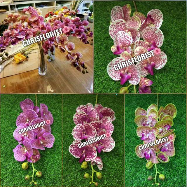Bunga Anggrek Latex Super Premium Plastik Palsu Buatan Plastic Sintetis Dekorasi Artificial