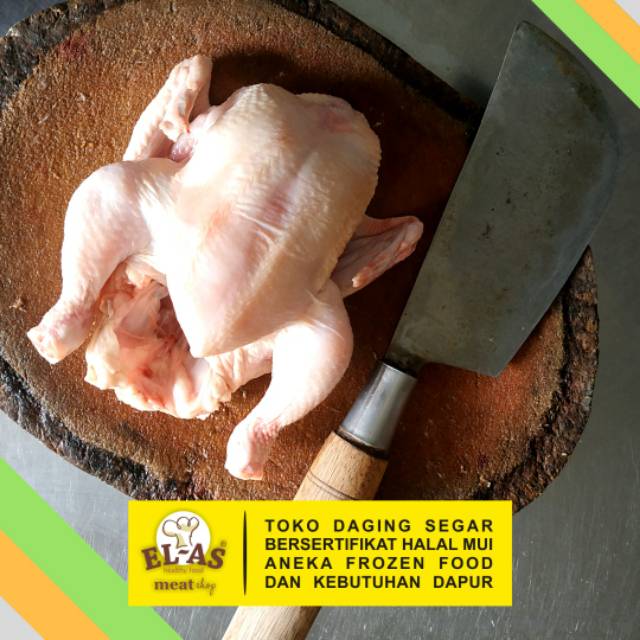 

Daging Ayam Segar