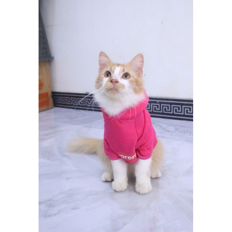 Kaos Hoodie Supreme kode #002 lucu untuk kucing &amp; anjing / baju kucing murah size S-XL