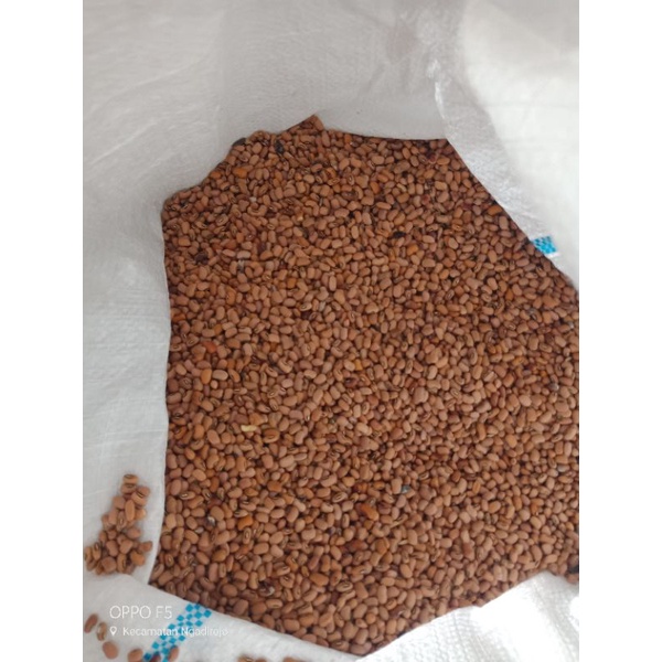 

Kacang Tolo / Tunggak 500 gram