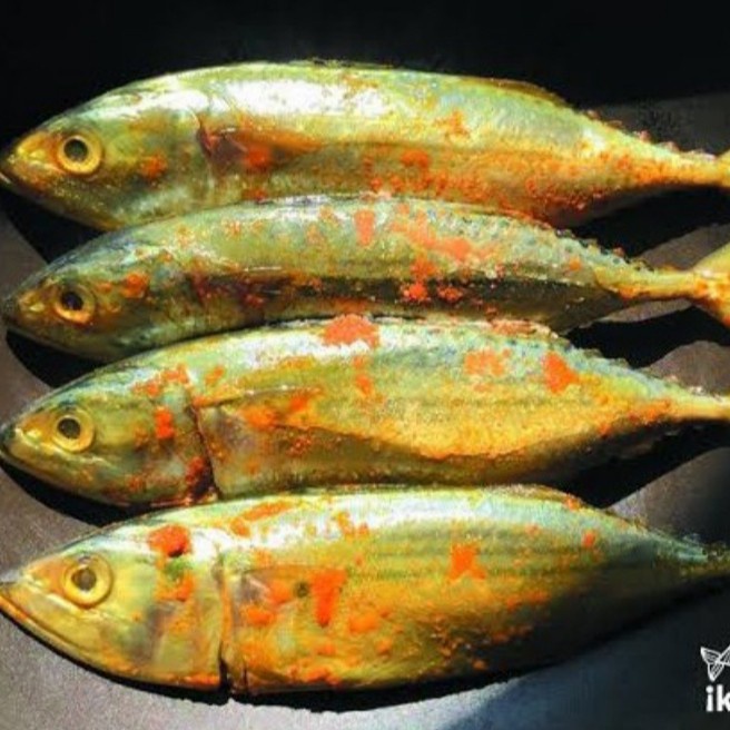 

Ikan Kembung Bumbu Kuning Siap Goreng 500Gr