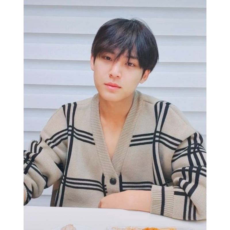Cardigan mingyu korea  stylish