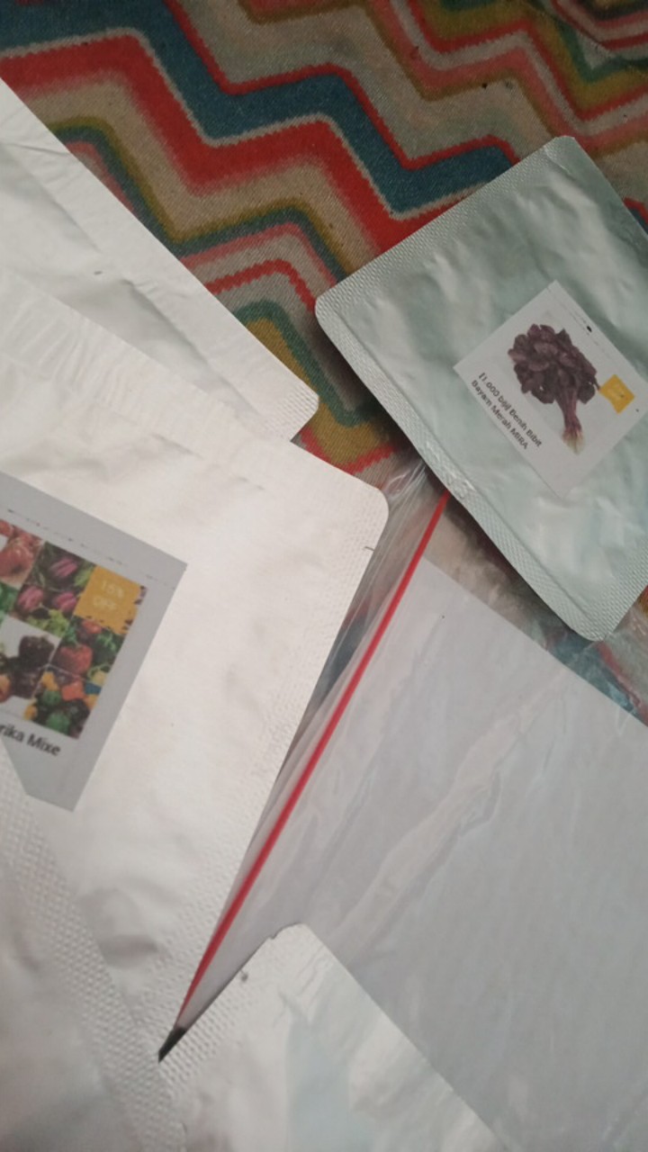 Biji Benih Paprika Mixed