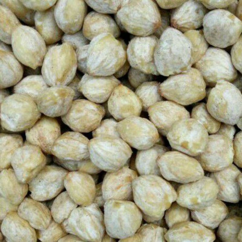 

KEMIRI GLONDONG 500 GRAM KUALITAS SUPER